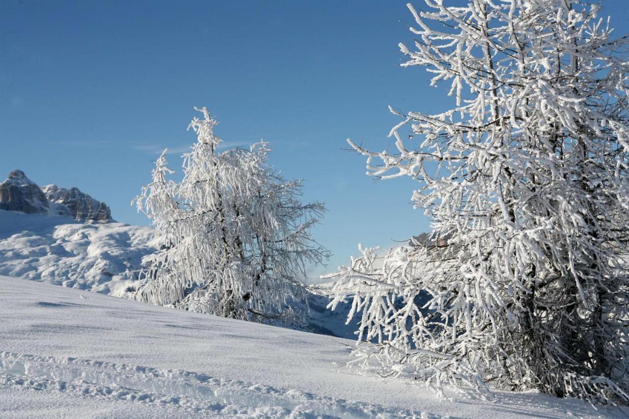 Ciasa Giardun Appartement La Villa (Trentino Alto Adige)